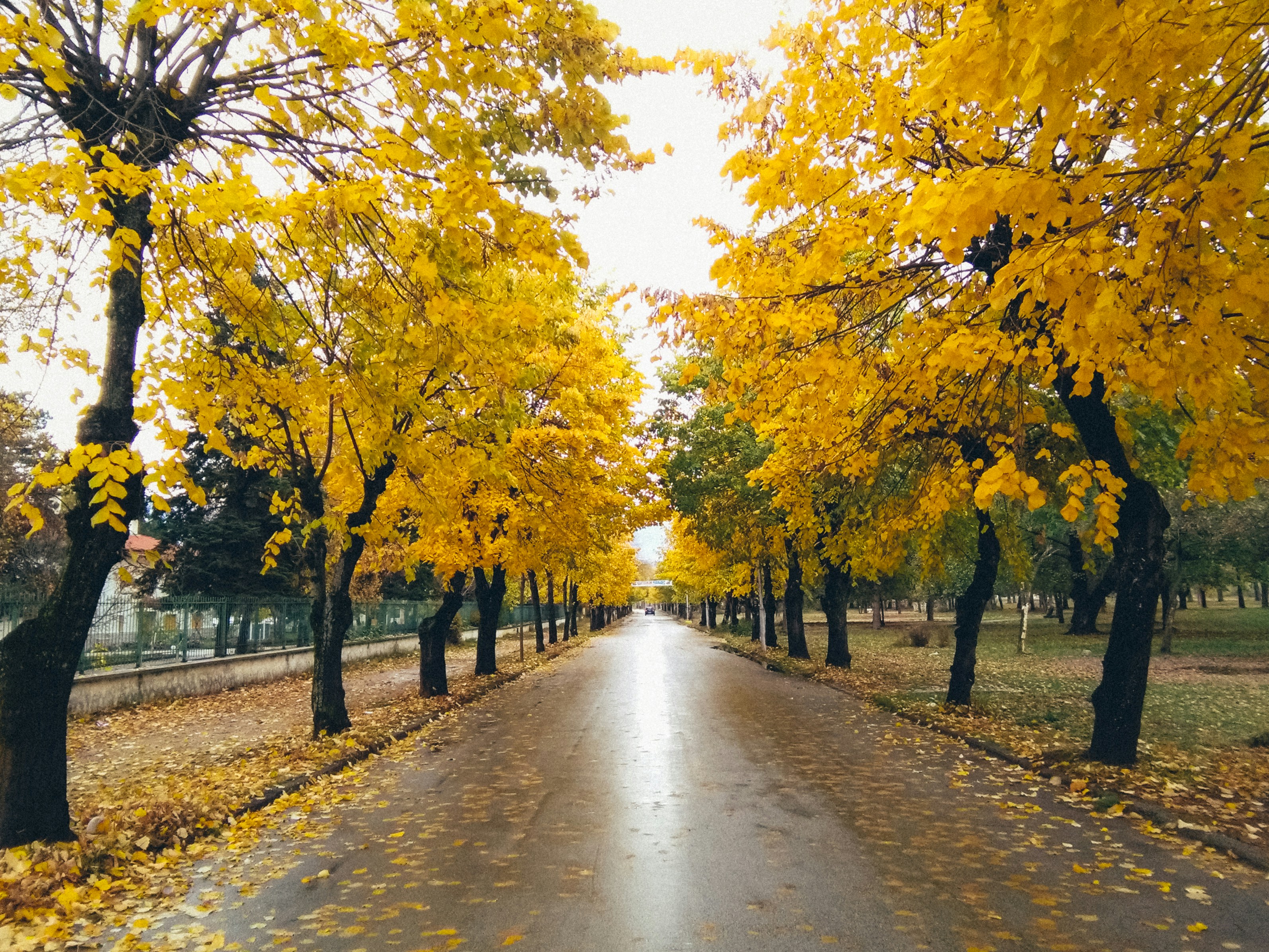 albania/7cb5f9fb-db3e-4591-89e6-cfb3c052b7ab_endri-killo-YyDhlIooJT0-unsplash.jpg 1144 Nomad Stays for digital nomads