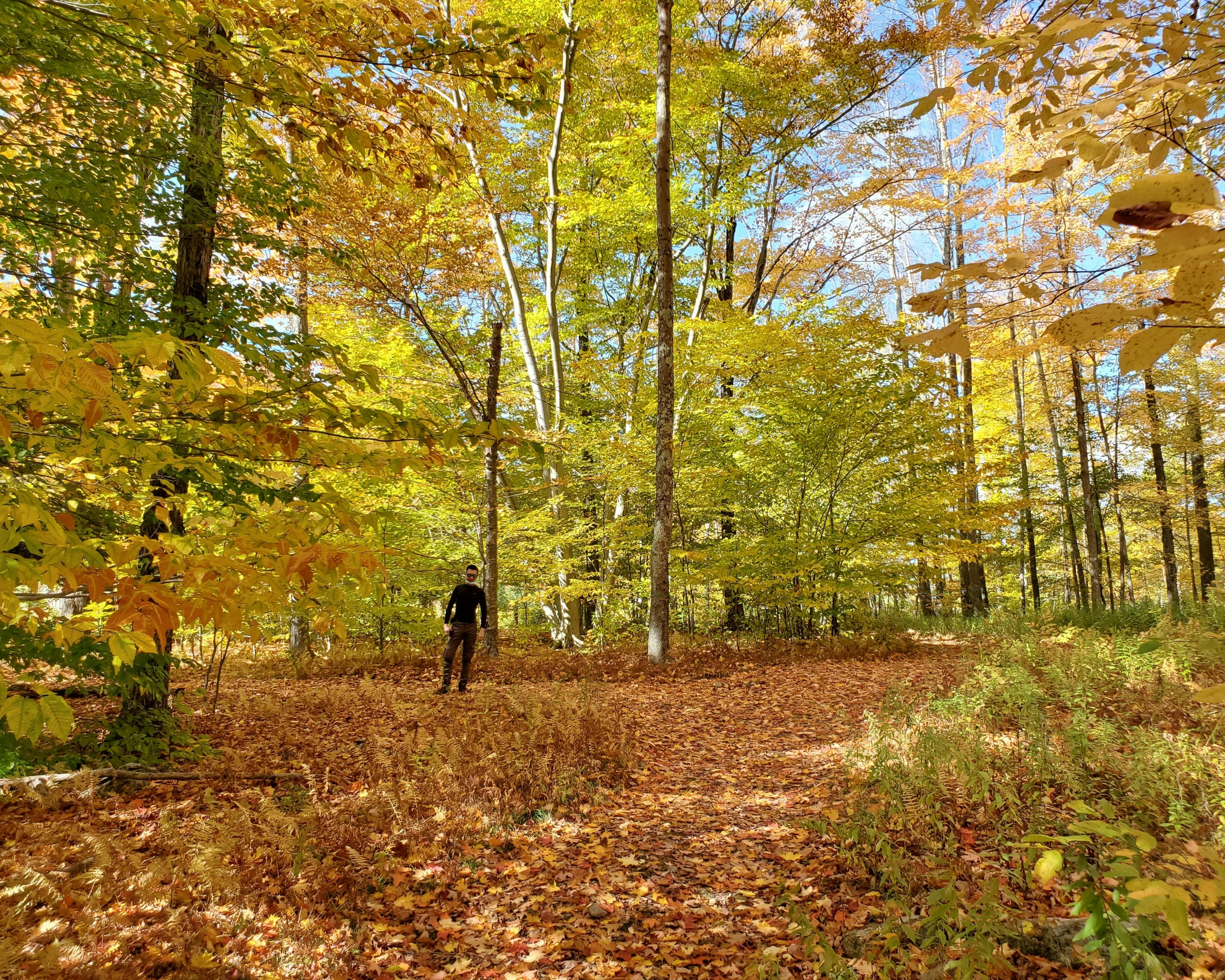 unitedstates/6c638c82-085c-443c-a96b-1fef86bcbc96_vitaliy-gershfeld-6NWZ45gvBww-unsplash.jpg 1140 Nomad Stays for digital nomads