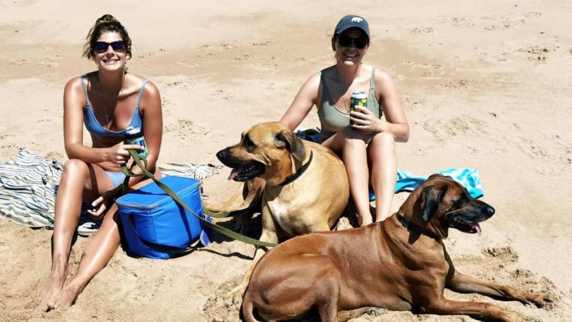 Hotel Zinkwazi Beach South Africa nomad remote 90e7918d-66cf-4945-ac1c-4e39361e08d0_6.jpg