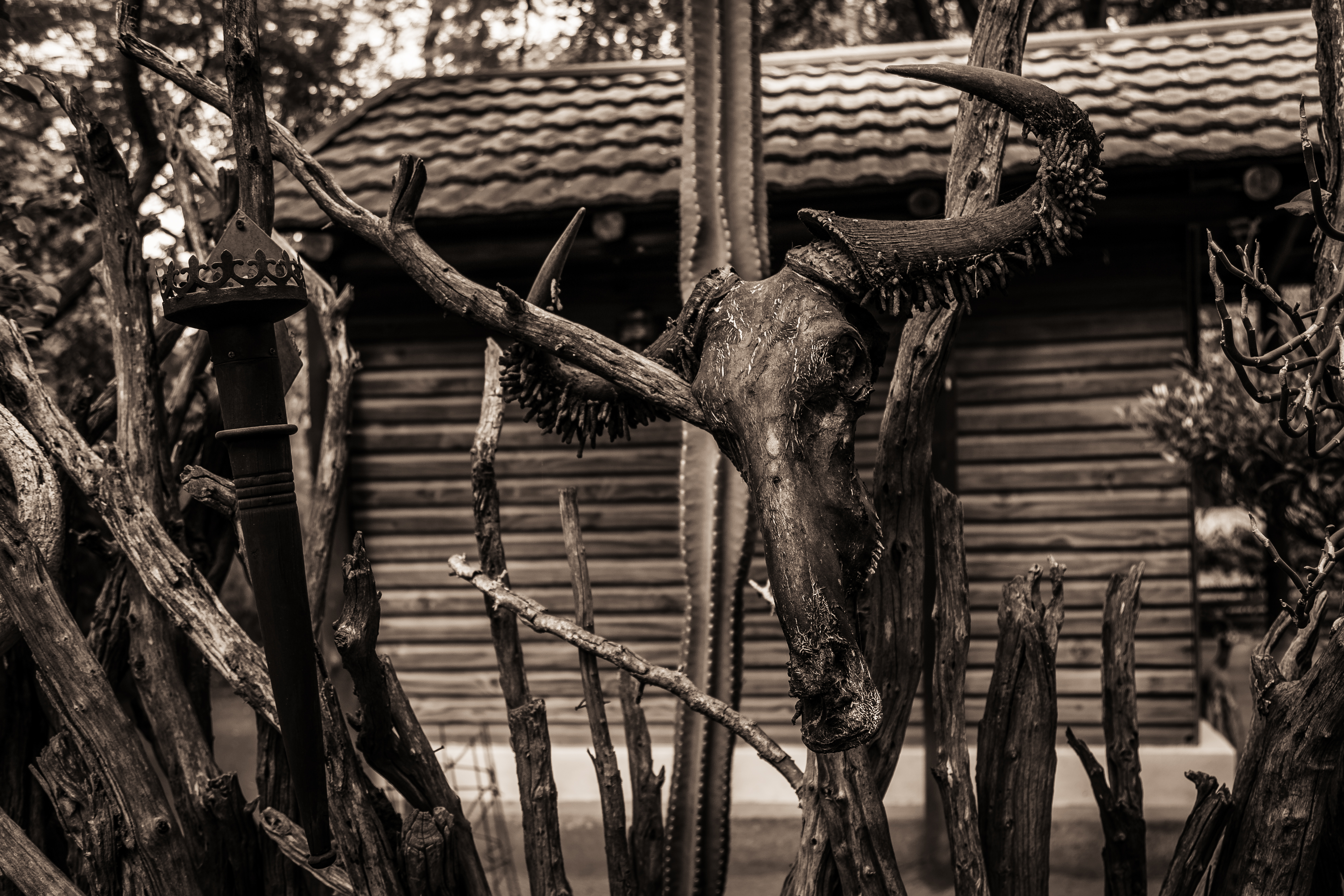 Hotel Mokolodi 2 Botswana nomad remote be2c8ace-bf57-4377-8926-a71347532022_MG1482.jpg