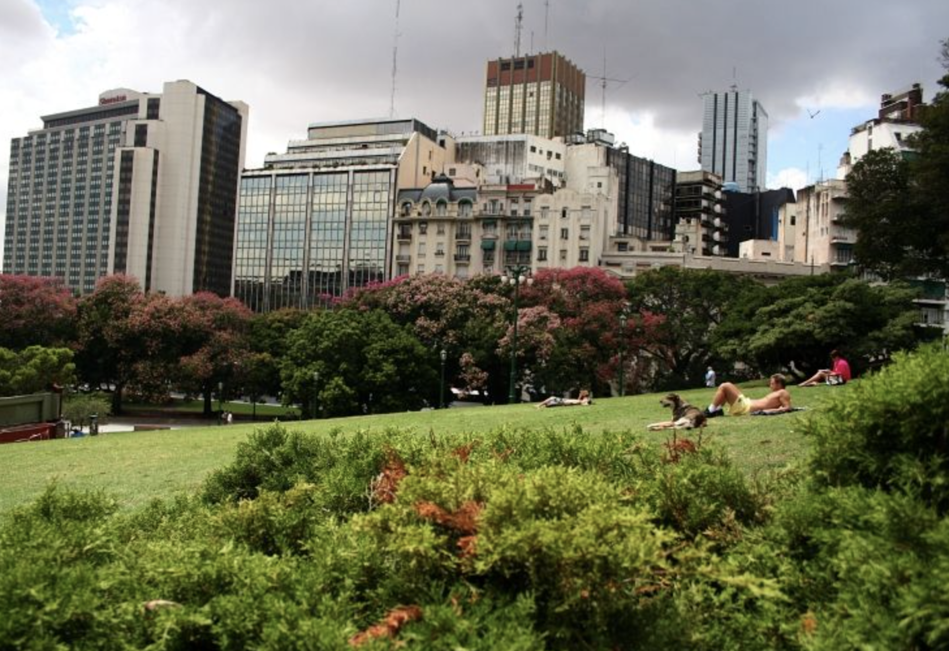 Hotel Buenos Aires Argentina nomad remote 850b82f1-7bc1-4df1-8ab5-72856e972710_sanmartin.png