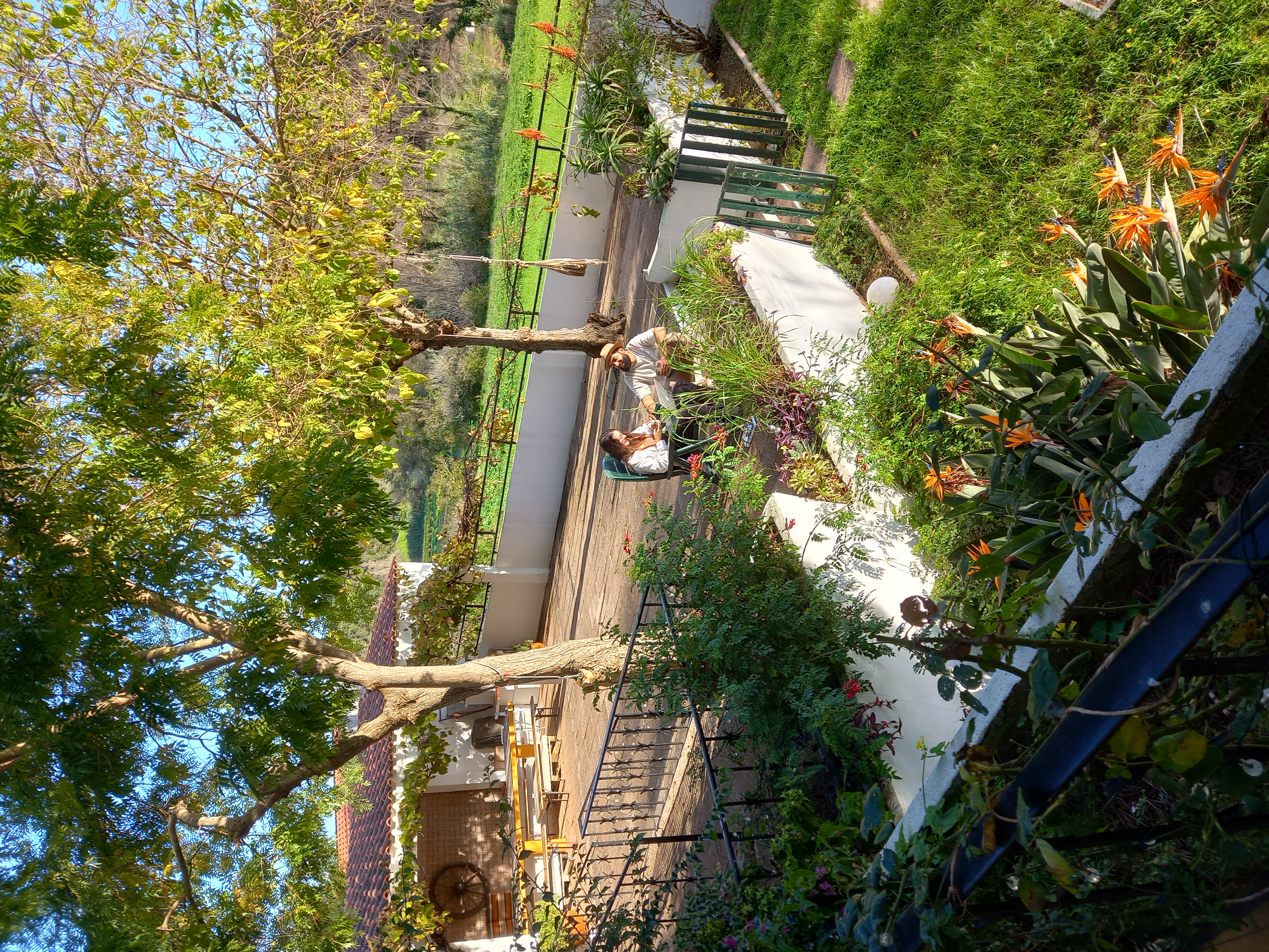 Hotel Santo Isidoro Portugal nomad remote dcc7a7d5-cd08-42b2-bed9-7a973e3f5590_EriceiraColivingBarefootgarden.jpg