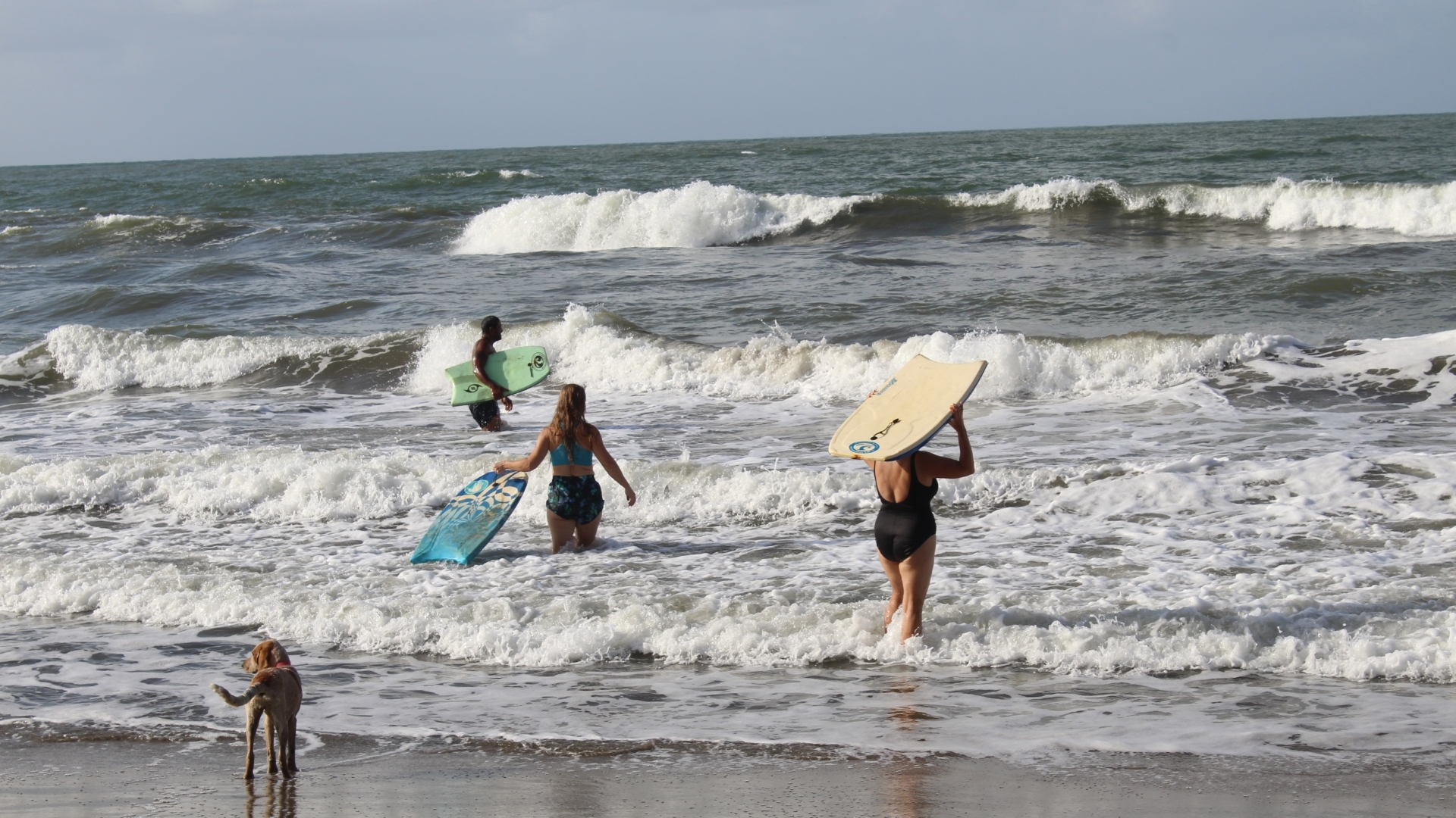 Hotel Cocle del Norte Panama nomad remote 504e7528-dc25-474b-a68c-cb40d7f192ef_boogieboardingwaves.jpg