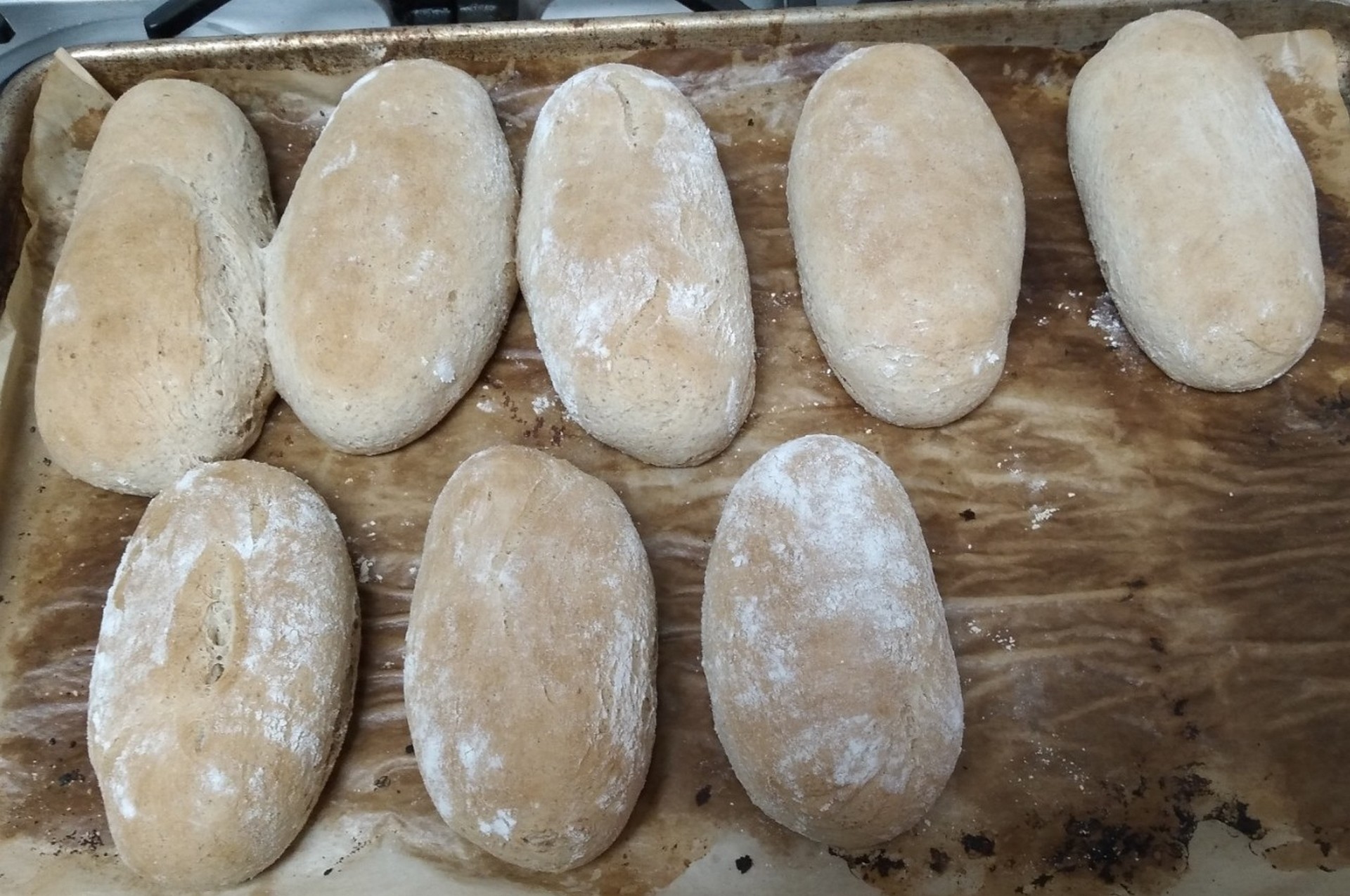 Hotel Boquete Panama nomad remote 692c30dc-5dba-491e-bbdd-492e36a14095_20230330000212.jpg