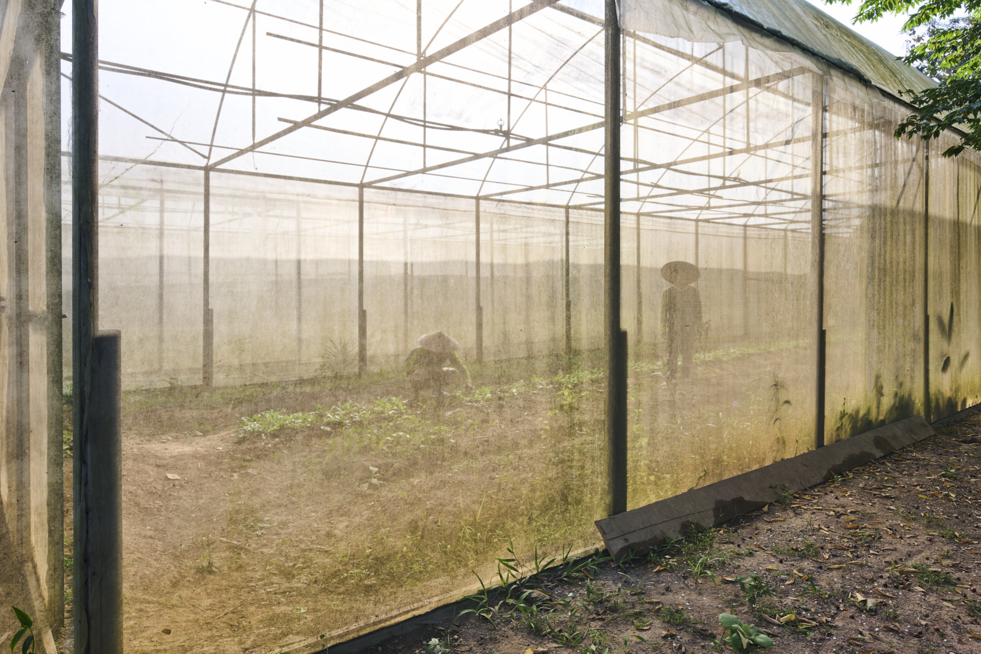 Hotel Luang Prabang Laos nomad remote 7dcee39e-7a0c-480c-ad43-2bd5f85b074b_FarmMRbdv3.jpg