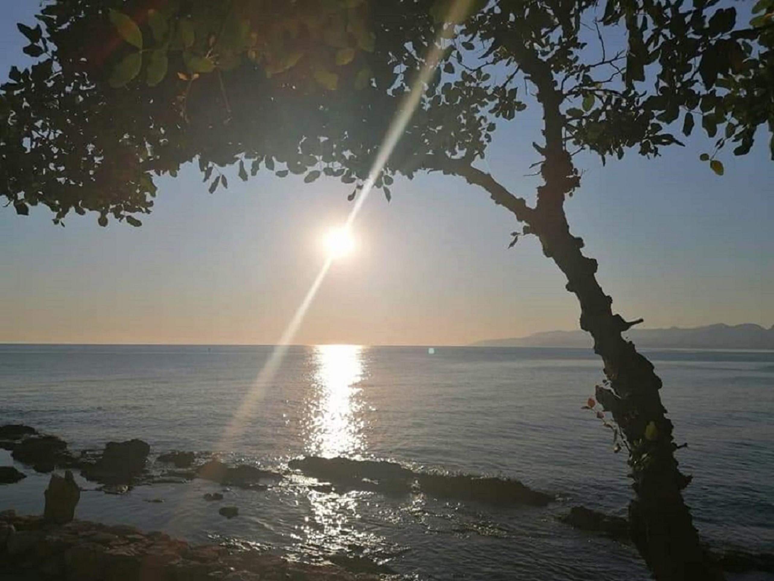 Hotel Hersonissos Greece nomad remote 853d2aa1-e671-4869-b87b-f6cb52b2ba39_largeFBIMG1626468967468v1jpgoooo.jpg