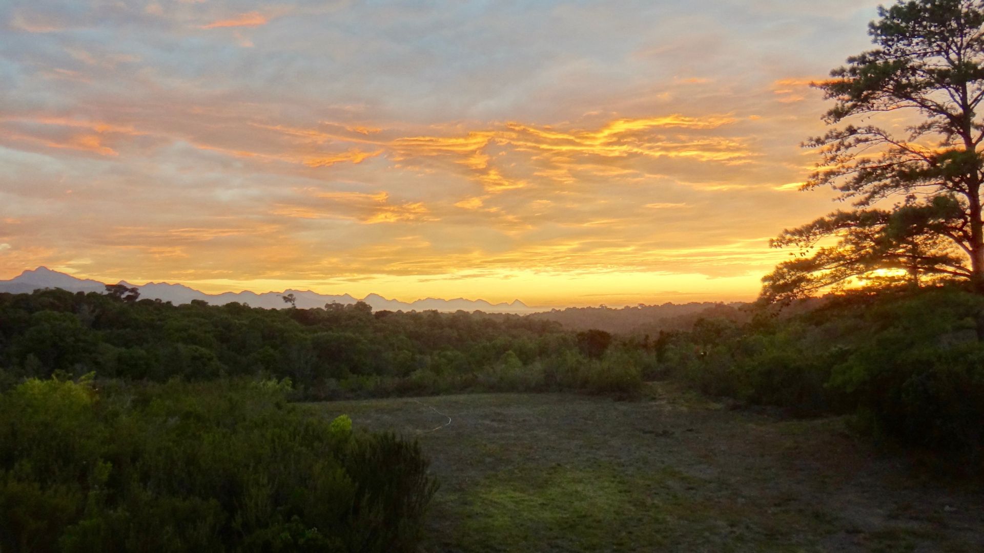 Hotel Plettenberg Bay South Africa nomad remote a26a6ecb-ad5d-43ae-81f6-bad5038a82f9_4.jpg