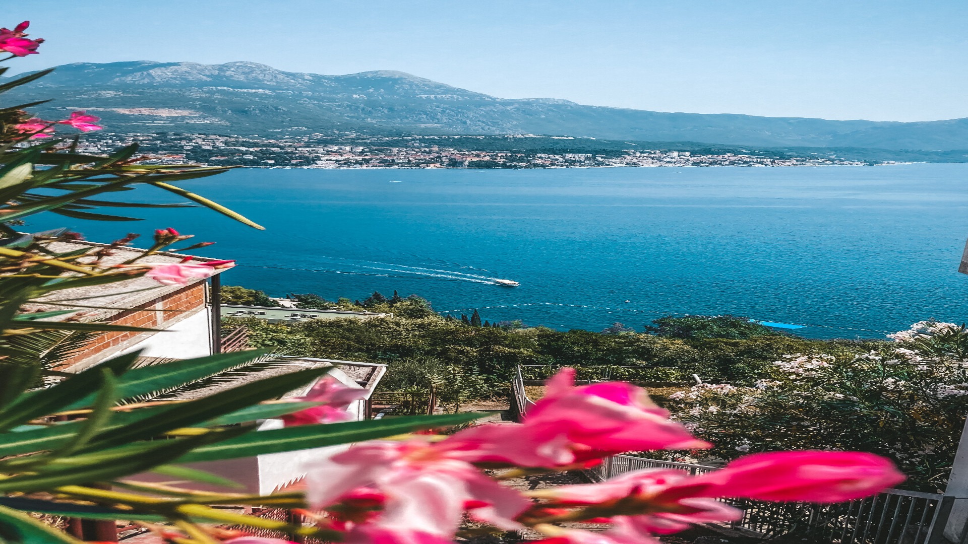 Hotel Njivice Montenegro nomad remote f8c76dc6-20fa-404b-9253-48ef0ee0e77c_10.jpeg