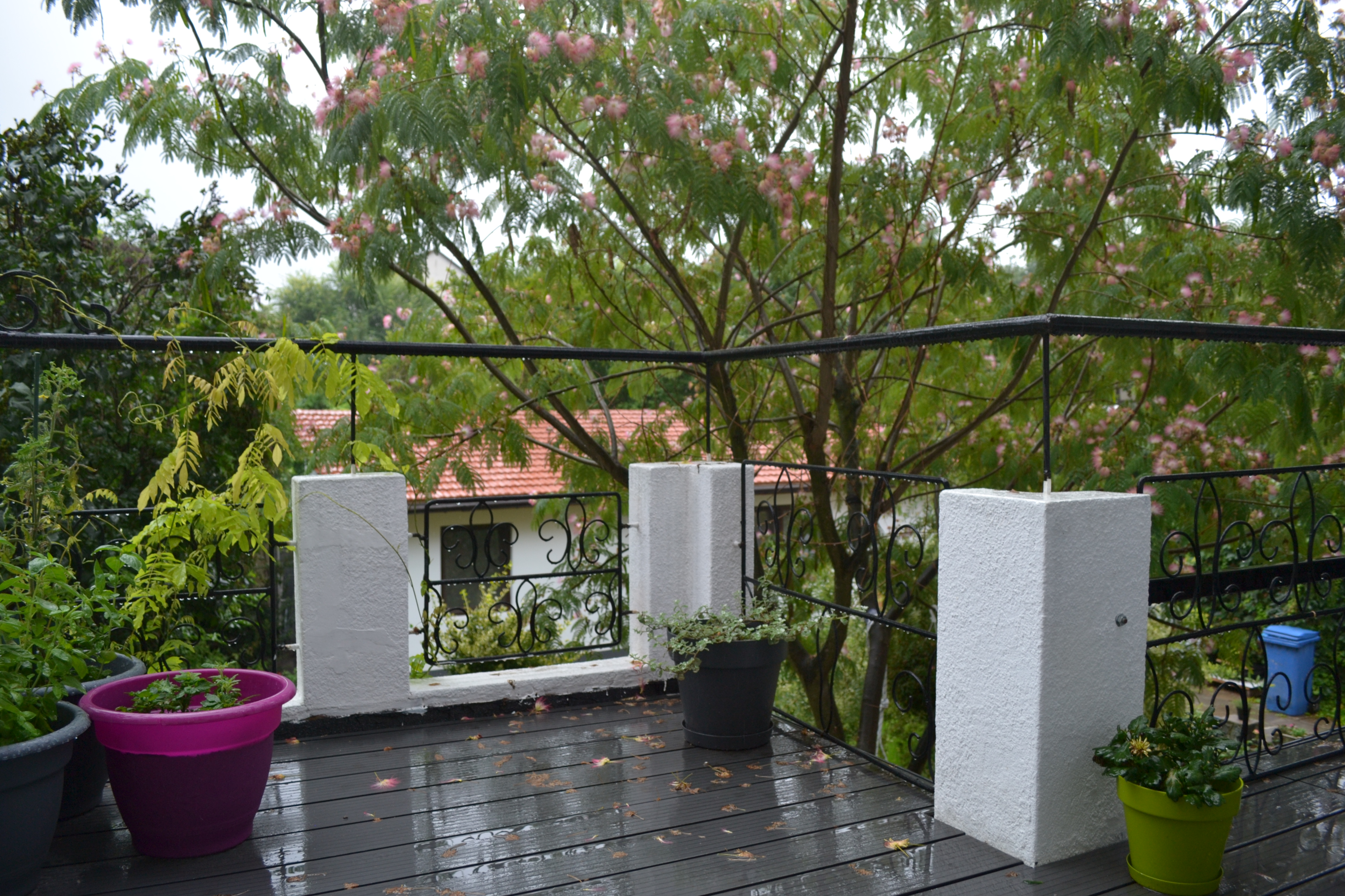 Hotel Timisoara Romania nomad remote 95870d14-3f9f-4651-908d-b4874cc11229_DSC0348.JPG